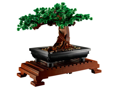 Bonsai Baum