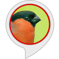 Gartenvögel