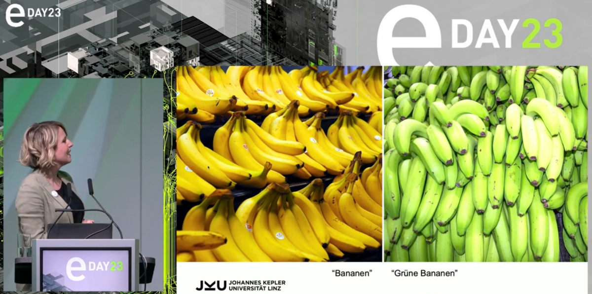 Bias in der Künstlichen Intelligenz