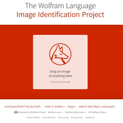 The Wolfram Language Image Detection Project