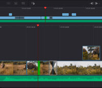 Davinci Resolve