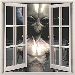 Magic Window