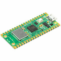 Raspberry Pi Pico W