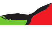 UCCELLO Designs